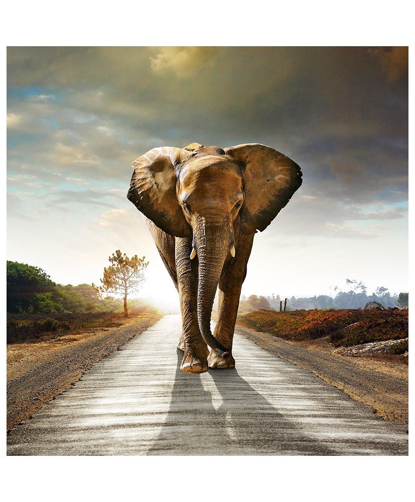 Painel Decorativo 2P60003