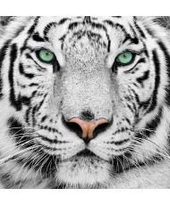 Painel Decorativo 2P60004