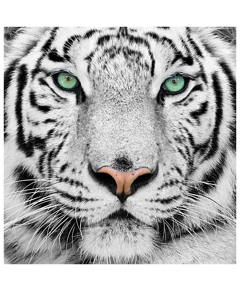 Painel Decorativo 2P60004