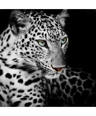 Painel Decorativo 2P60008