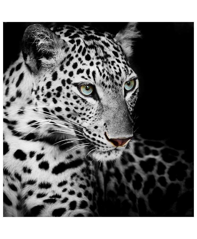 Painel Decorativo 2P60008