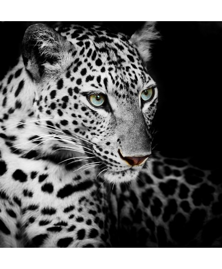 Painel Decorativo 2P60008