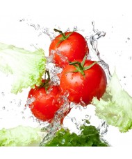 Painel Decorativo 2P70003