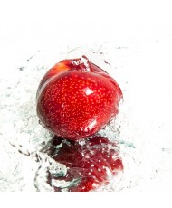 Painel Decorativo 2P70004