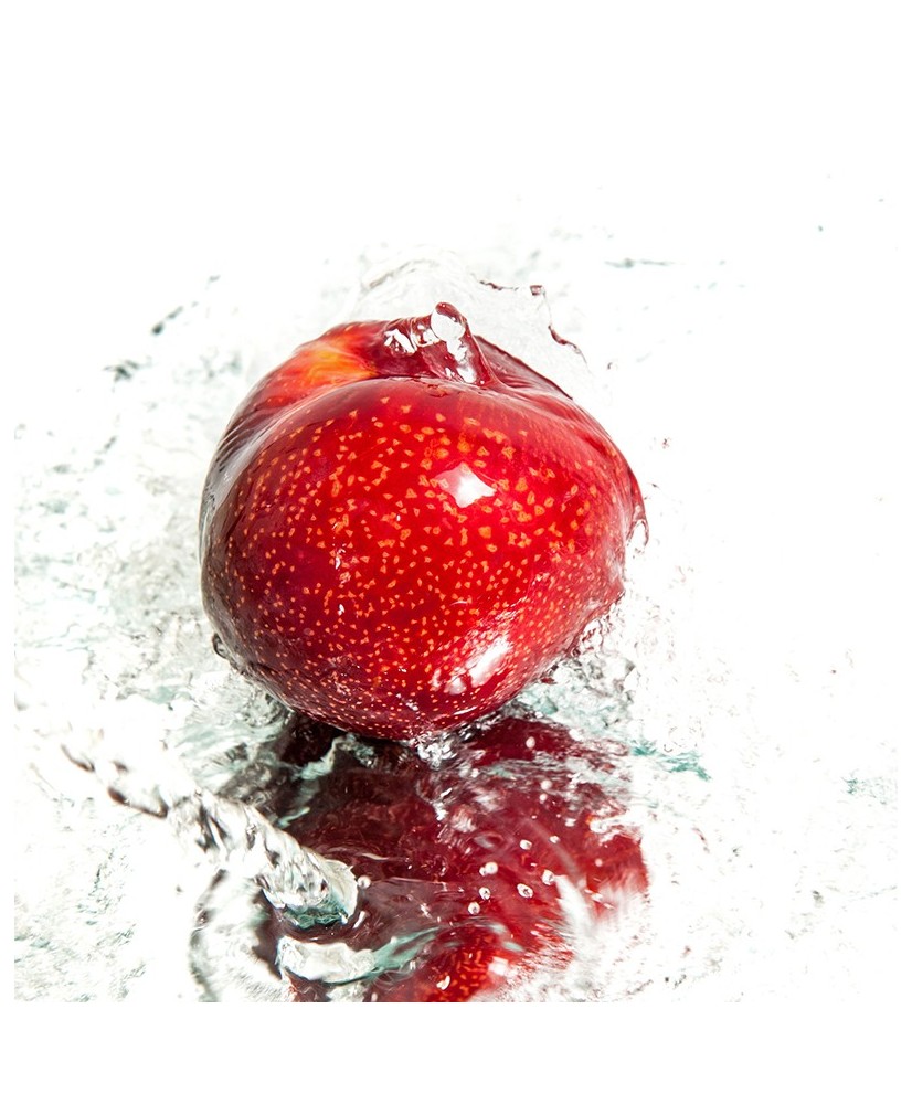 Painel Decorativo 2P70004