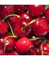 Painel Decorativo 2P70007