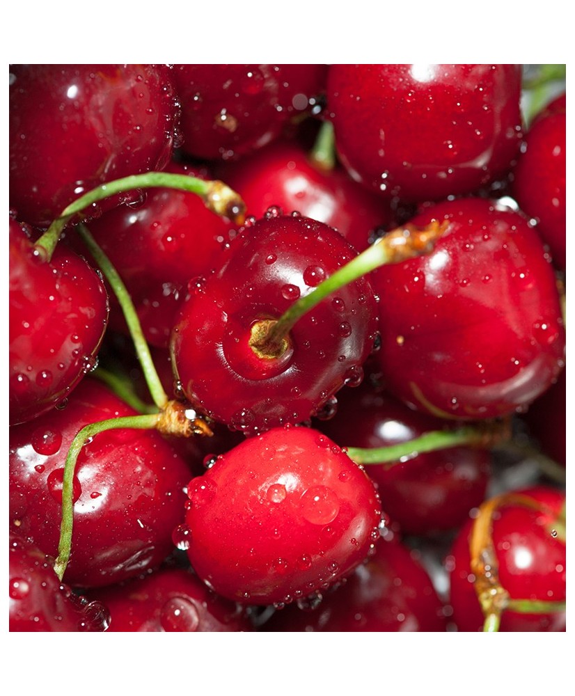 Painel Decorativo 2P70007