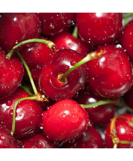 Painel Decorativo 2P70007