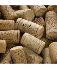 Painel Decorativo 2P71001