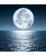 Painel Decorativo 2P92001