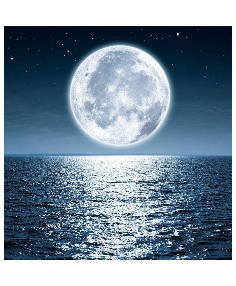 Painel Decorativo 2P92001