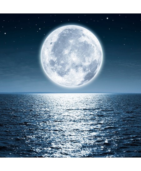 Painel Decorativo 2P92001