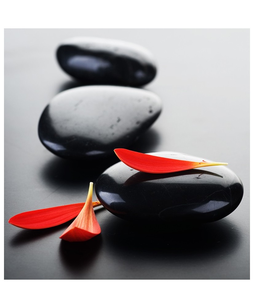 Painel Decorativo 2P93002