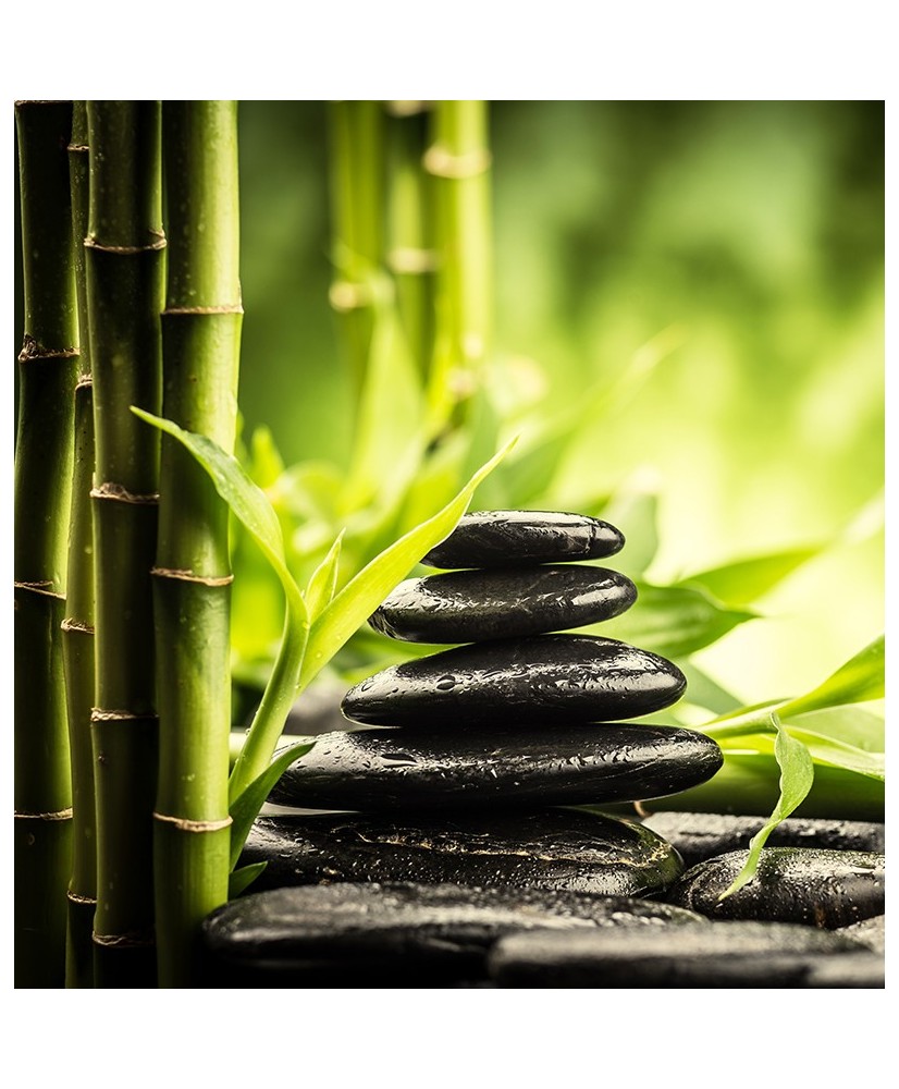 Painel Decorativo 2P93003