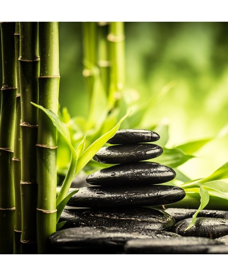 Painel Decorativo 2P93003