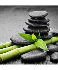 Painel Decorativo 2P93005