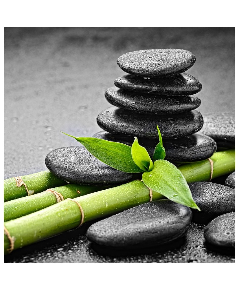 Painel Decorativo 2P93005