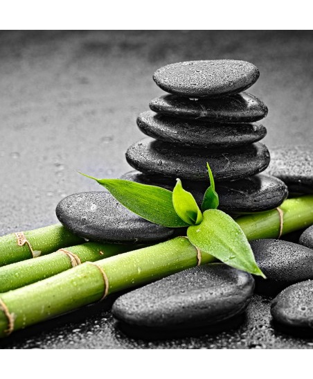 Painel Decorativo 2P93005