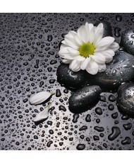 Painel Decorativo 2P93007