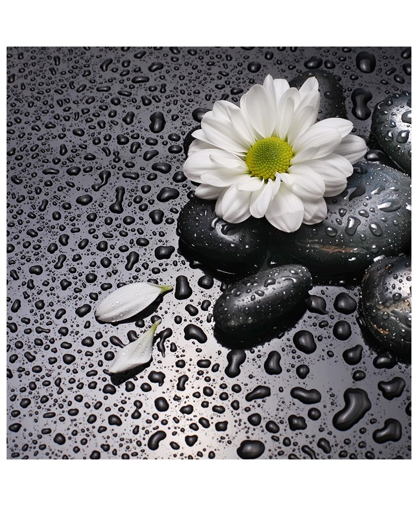 Painel Decorativo 2P93007