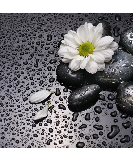 Painel Decorativo 2P93007