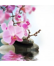 Painel Decorativo 2P93008