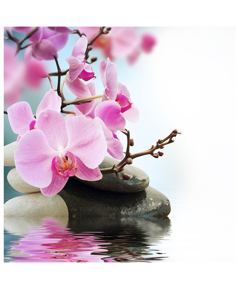 Painel Decorativo 2P93008