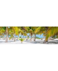 Painel Decorativo 0P81003