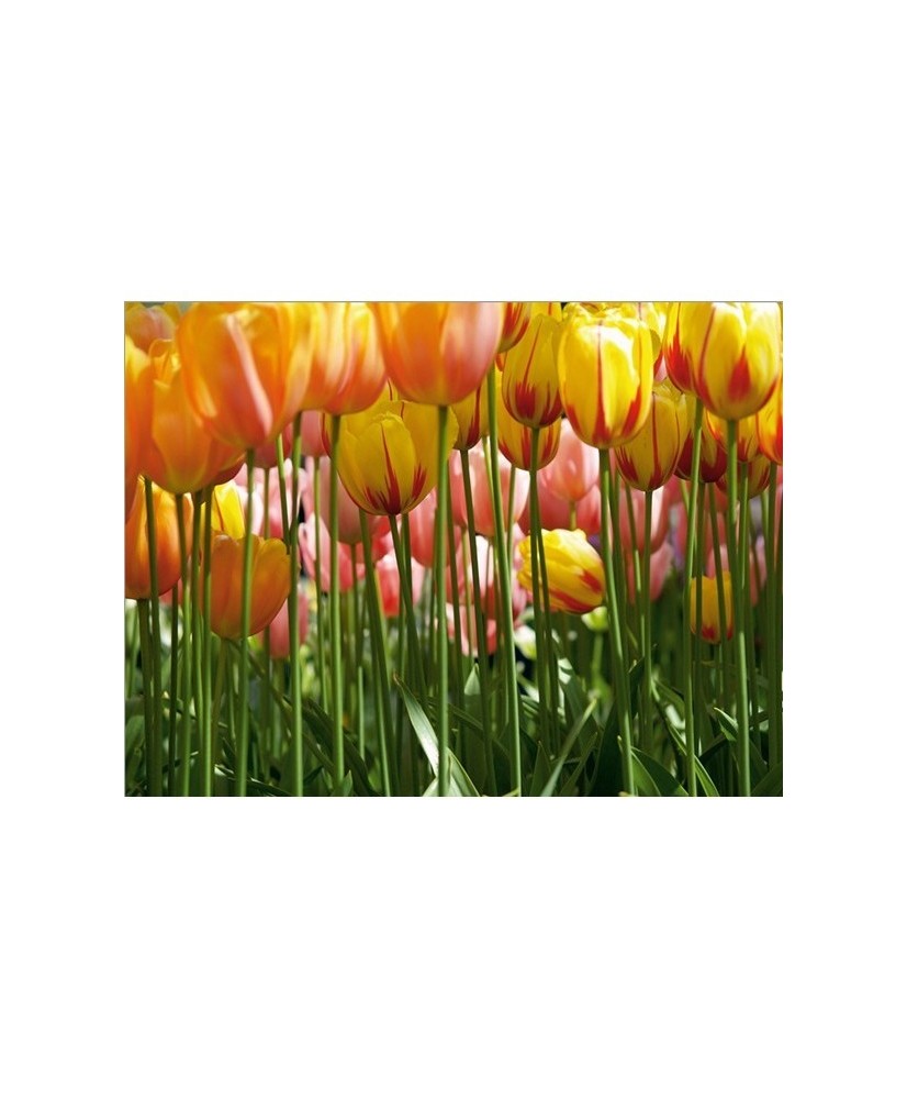 Painel decorativo FTS 0045