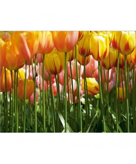 Painel decorativo FTS 0045