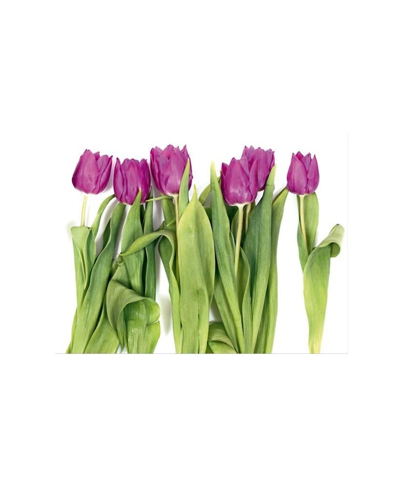 Painel decorativo FTS 0065