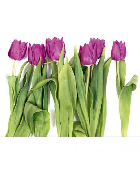 Painel decorativo FTS 0065