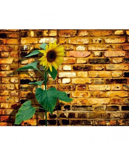 Painel decorativo FTS 0071