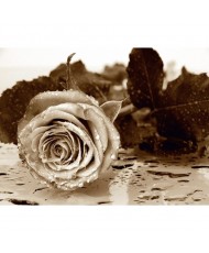 Painel decorativo FTS 0086