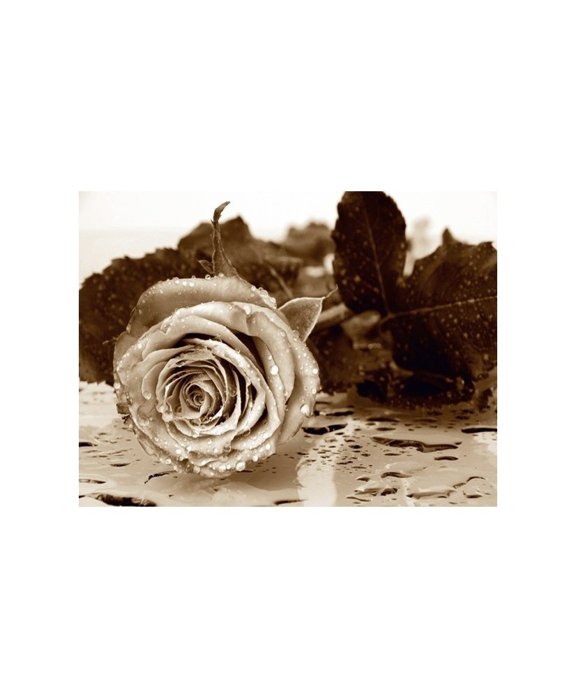 Painel decorativo FTS 0086