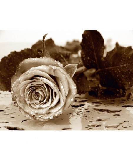 Painel decorativo FTS 0086