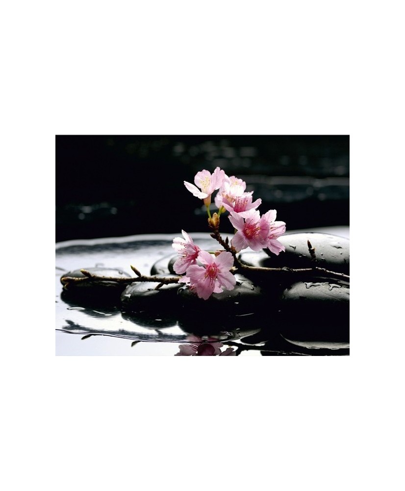 Painel decorativo FTS 0185