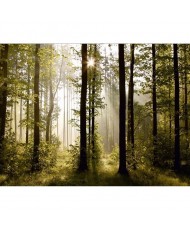 Painel decorativo FTS 0181