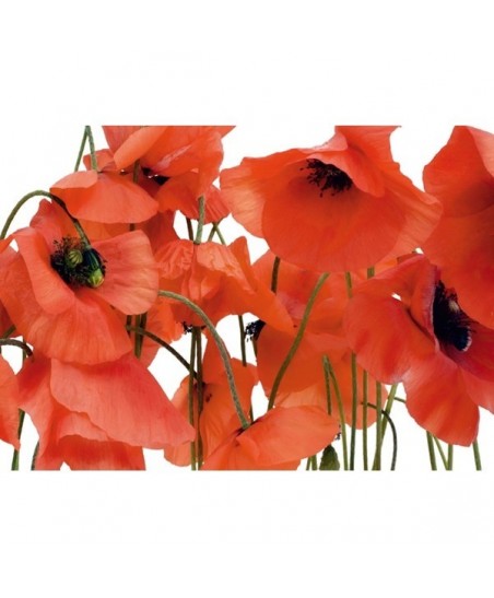 Painel decorativo FTS 0479