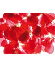 Painel decorativo FT0043