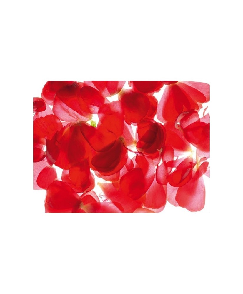 Painel decorativo FT0043