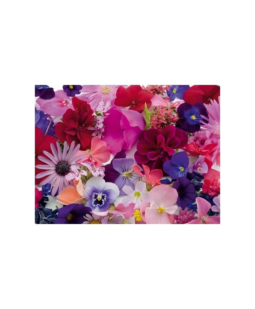 Painel decorativo FT0053