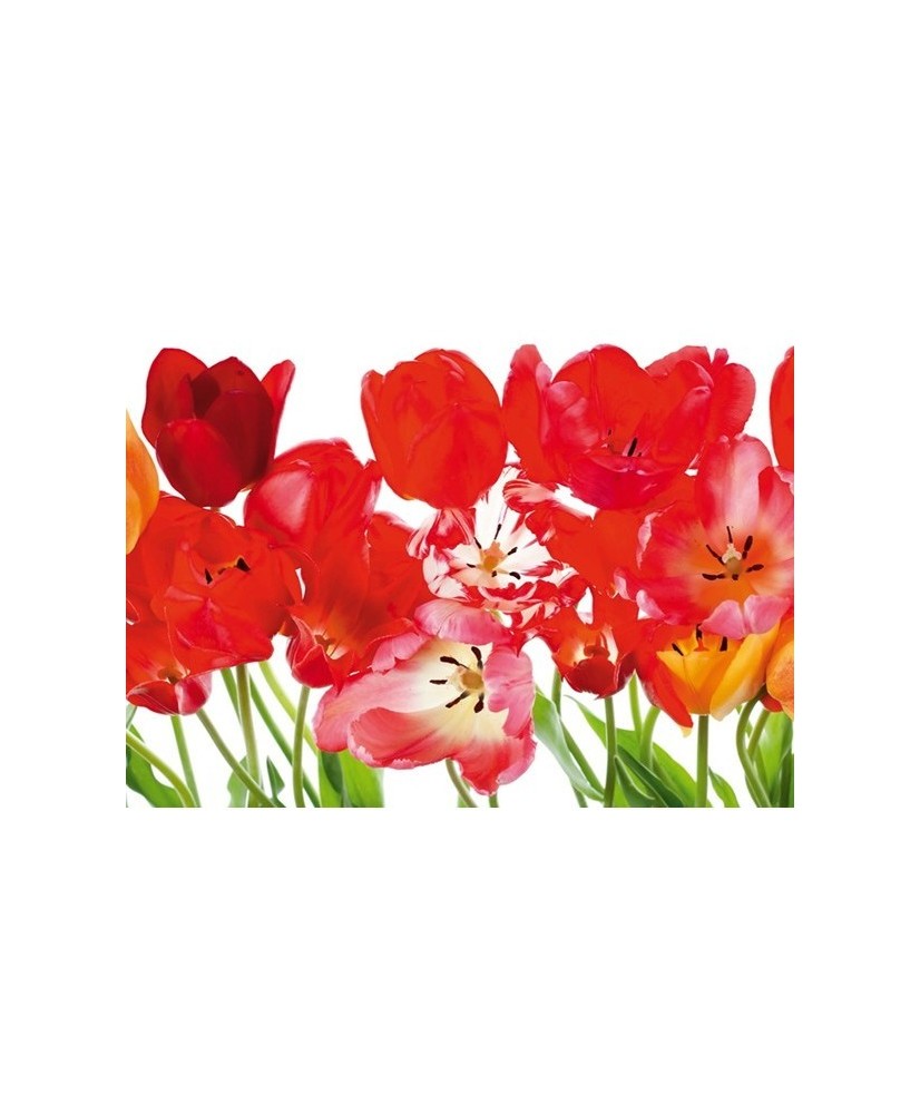 Painel decorativo FT0067