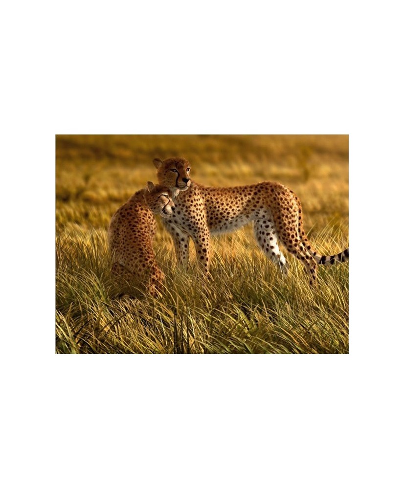 Painel decorativo FT0105