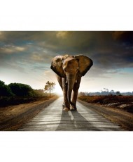 Painel decorativo FT0108