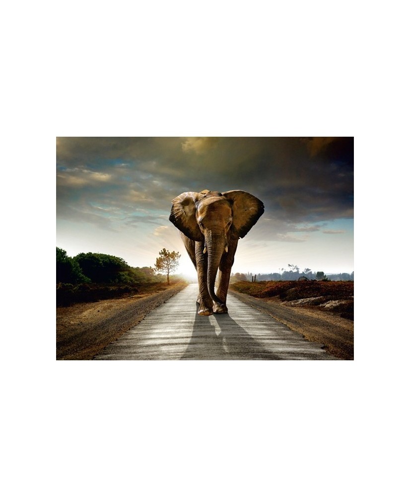 Painel decorativo FT0108