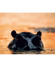 Painel decorativo FT0114