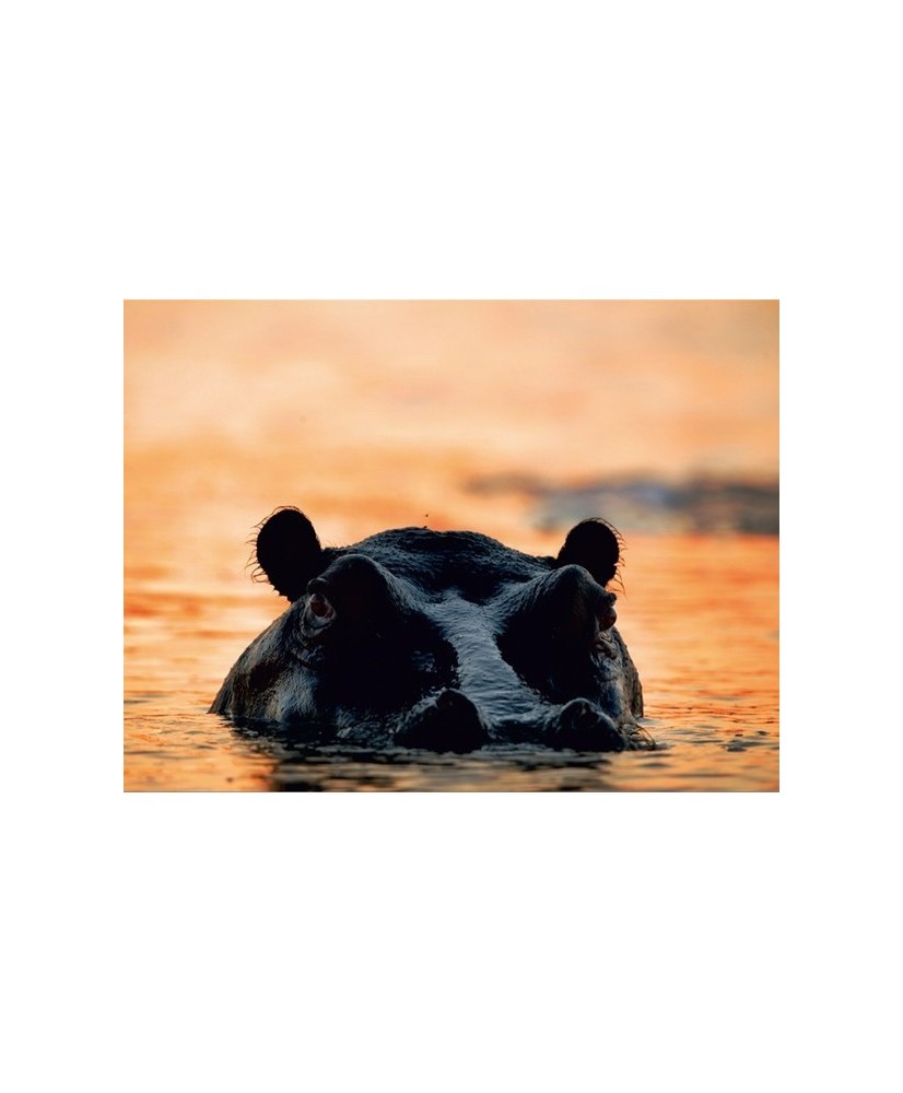 Painel decorativo FT0114