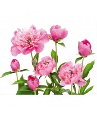 Painel decorativo FT0115