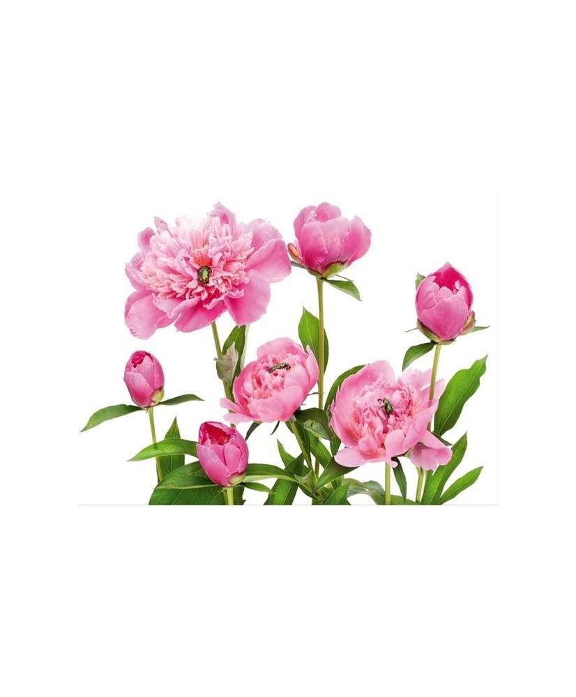 Painel decorativo FT0115